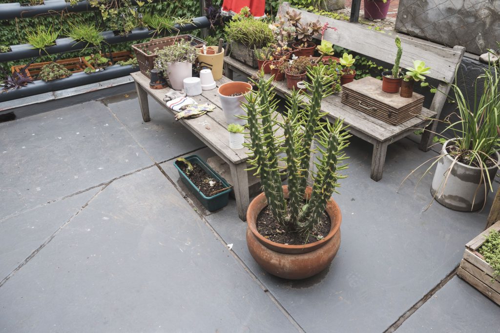 Container home rooftop garden